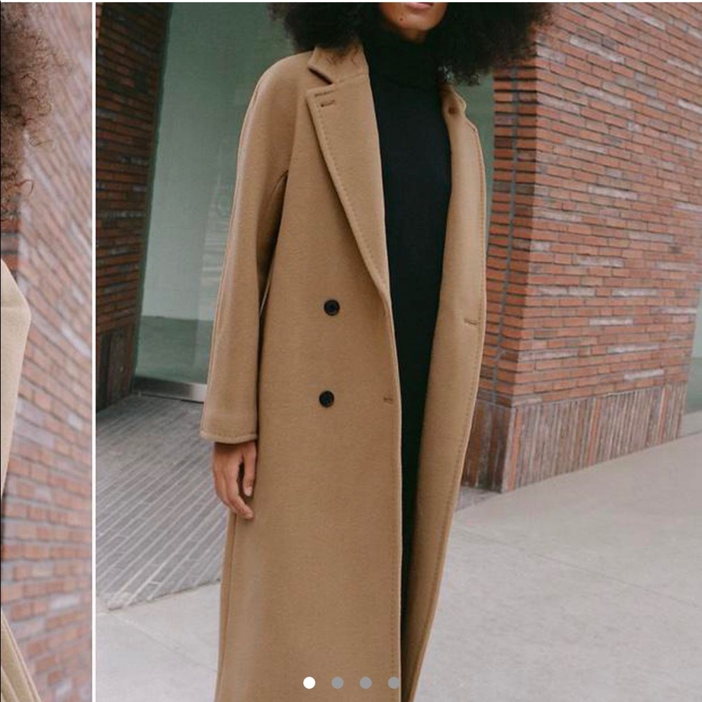 Aritzia Babaton Slouch coat